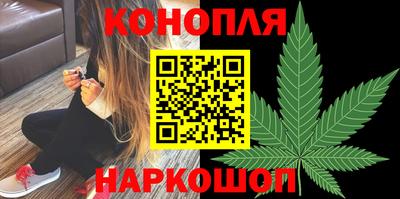стаф Шахты