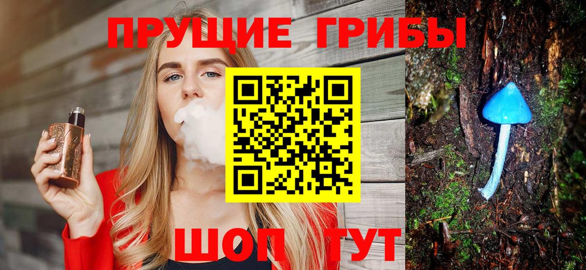 Батайск  Псилоцибиновые грибы GOLDEN TEACHER  наркошоп  Вход с VPN 